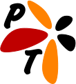 P T